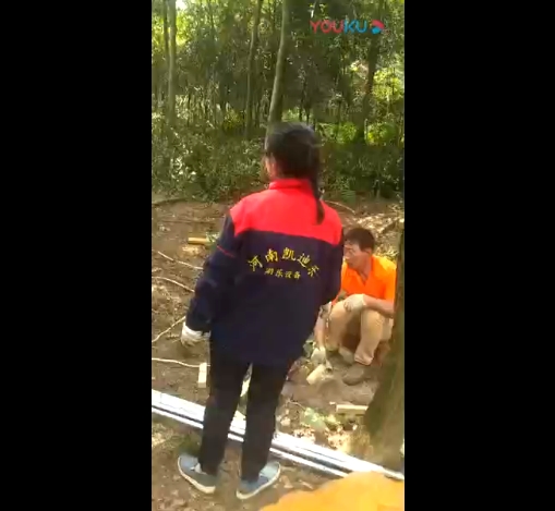 叢林穿越