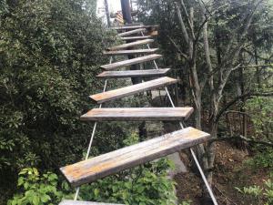 我們為某景區建造的叢林穿越案例
